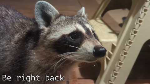 rndmzd free recording from 2025-12-05 00:01:00