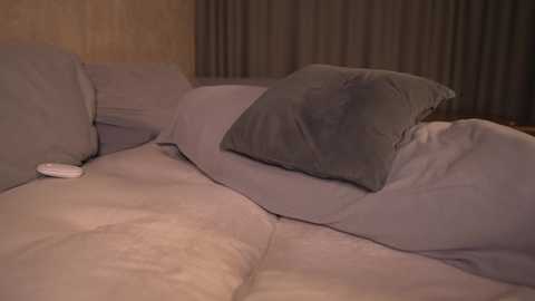 Video of a neatly made bed with light gray sheets and a matching gray pillow, against a beige wall with vertical blinds. A small white remote control is placed on the pillow.