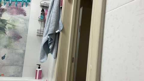 Video of a bathroom with beige tiles, a towel hanging on a door, toiletries on a shelf, and a partially open wooden door.