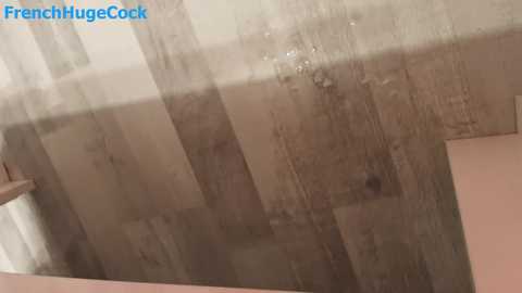 french_huge_cock free recording from 2025-12-05 00:12:00