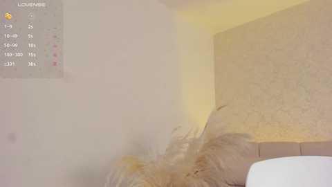 gracecartier free recording from 2025-12-05 00:01:00