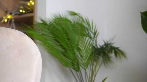 sonya_kelsey free recording from 2025-12-05 00:12:00