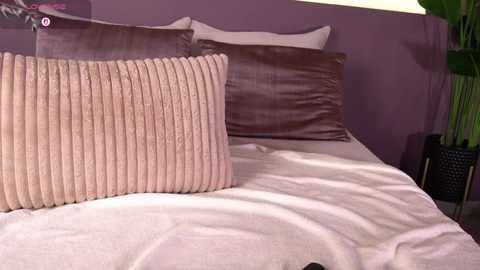 ellediane free recording from 2025-12-06 00:08:00