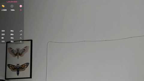 gabimeshuggah free recording from 2025-12-06 00:05:00