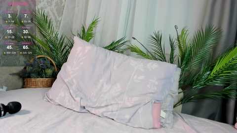 kittyloffe free recording from 2025-12-06 00:08:00