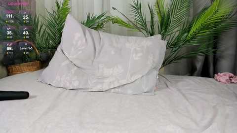 kittyloffe free recording from 2025-12-06 00:08:00