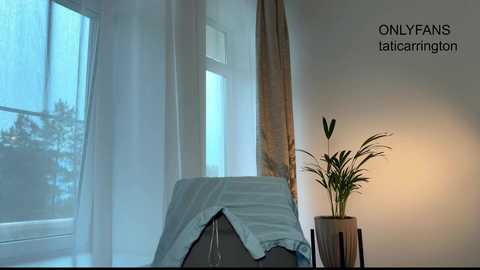 tatti_1 free recording from 2025-12-06 00:16:00