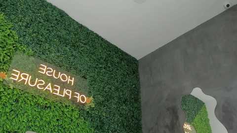 Video of an interior wall with a green faux grass texture, featuring a neon sign reading \"HOPE IS HERE\" in orange letters, and a painted white abstract tree shape on a gray wall.