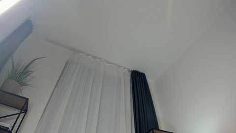 alicemelison free recording from 2025-12-07 00:01:00