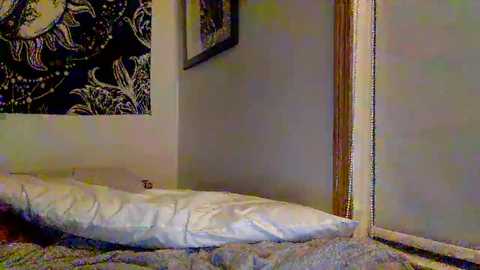 A video of a cozy bedroom corner with a white duvet-covered bed against a beige wall, featuring a tapestry with black and gold patterns and a framed picture hanging above. The room has a warm, inviting atmosphere.