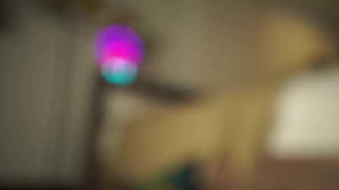 nirvanaa__ free recording from 2025-12-08 00:04:00