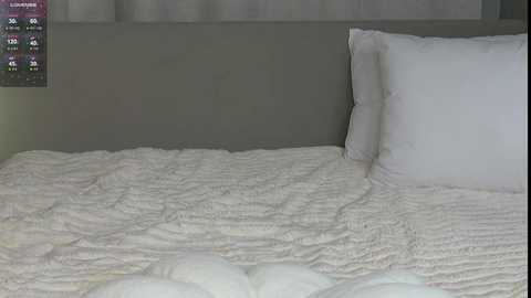 A video of a neatly made bed with a textured, quilted white comforter and a single white pillow against a gray upholstered headboard. The room's background features a light gray curtain.