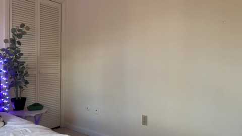 A video of a simple, beige-walled room with a closed white louvered door on the left. A decorative potted plant with artificial foliage and fairy lights is placed on the floor beside the door. The room appears sparsely furnished.