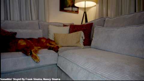 x_lily_x free recording from 2025-12-08 00:13:00