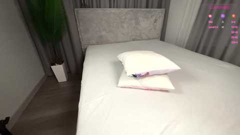 8abycat free recording from 2025-12-08 00:06:00