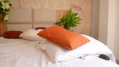 A video of a neatly made bed with white linens, an orange pillow, and a brown pillow, set against a beige, floral-patterned wall with a potted green plant.