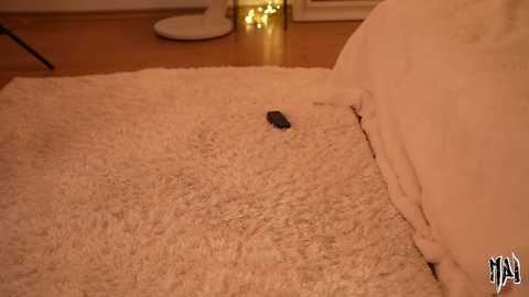 informal_ free recording from 2025-12-08 00:13:00