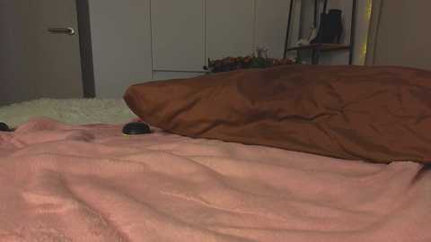 lili__roze_ free recording from 2025-12-08 00:06:00