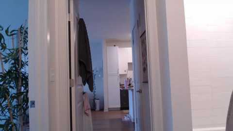 lilyyymonroee free recording from 2025-12-08 00:08:00