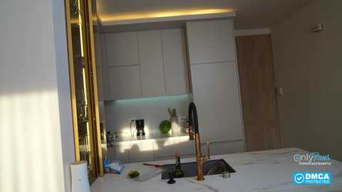 Media: A video of a modern kitchen in progress, featuring white cabinets, a black kettle, and a green plant, with sunlight streaming in through a partially open door, highlighting the sleek, minimalist design.