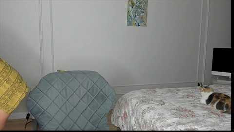 Video of a cozy bedroom with a white quilted bedspread, a grey quilted armchair, and a calico cat on the bed. The room has a minimalist decor with a framed artwork on the wall.
