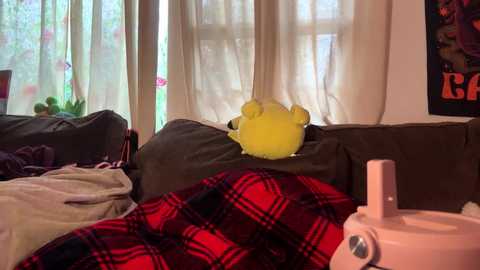 Video of a cozy living room with a yellow stuffed animal on a dark brown couch, red plaid blanket, white coffee cup, and sheer curtains.