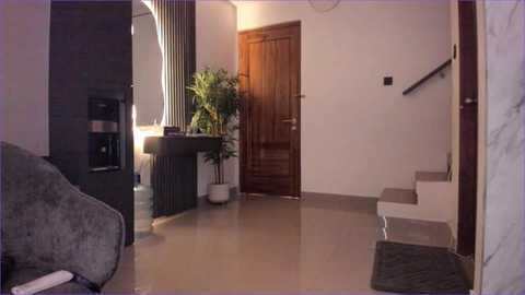 Video of a modern, minimalist hallway with polished beige tiles, a wooden door, a potted plant, and a grey couch in the foreground.
