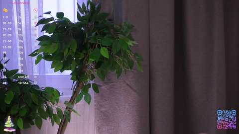 cinacandy free recording from 2025-12-10 00:36:00