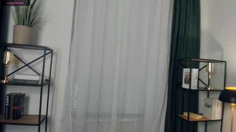 Video of a minimalist living room with white curtains, dark green curtains, black metal shelves, books, a lamp, and a potted plant.