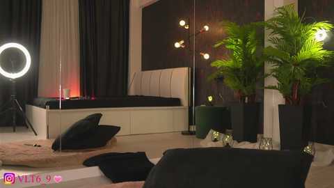 Video of a modern, minimalist bedroom with a black bed, white walls, lush green plants, and a glowing ring light.