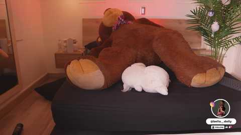 A video shows a large, worn brown teddy bear with a small white bear on a dark bed, in a cozy bedroom with a wooden headboard, a potted plant, and a mirror.