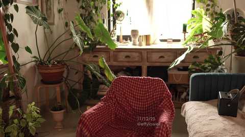 Video of a cozy, sunlit indoor greenhouse with a red-checkered chair, various potted plants, and wooden shelves, creating a warm, natural ambiance.