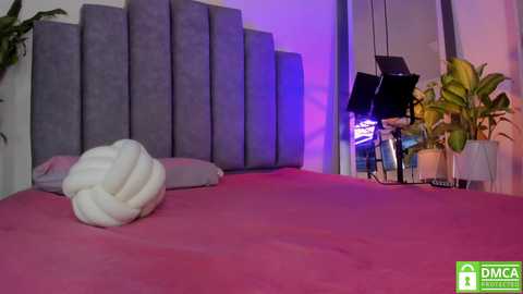 A video of a modern bedroom with a plush, pink bedspread and a grey upholstered headboard. A white knotted pillow is on the bed, and potted plants are placed near a large mirror.