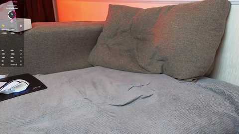 Video of a grey couch with a wrinkled, grey blanket and two large, plush pillows. Background includes a dark curtain and a small, white electronic device.