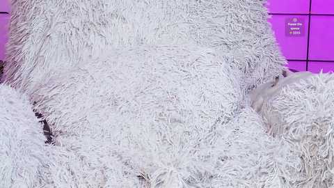 shycinderella free recording from 2025-12-11 00:16:00