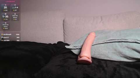 Video of a beige couch with a light blue pillow and a black blanket. A large, realistic-looking pink dildo lies on the blanket, positioned horizontally.