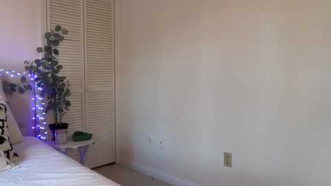 A video of a minimalist bedroom with beige walls, white louvered closet, and a potted plant with string lights on a small white table. The bed has a white comforter and a black pillow with white text.
