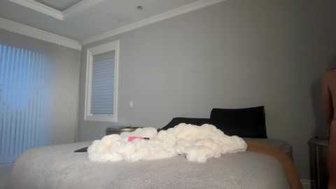 avaowenss free recording from 2025-12-12 00:33:00