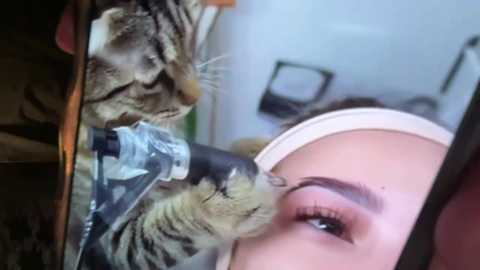 bonnettbonett free recording from 2025-12-12 02:06:00