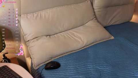 brightrays__ free recording from 2025-12-12 02:06:00