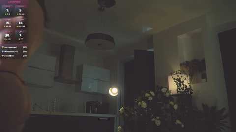 Video of a dimly lit modern kitchen with white cabinets, a hanging pendant light, and a floral arrangement on a side table. A person is partially visible in the foreground, wearing a white shirt.