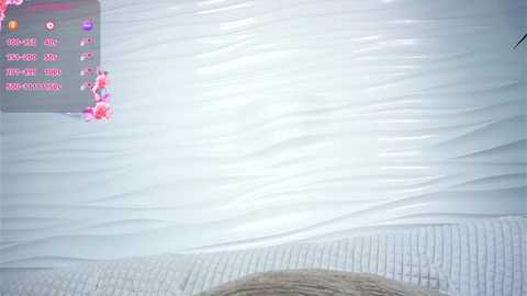 phyllisearney free recording from 2025-12-12 02:06:00