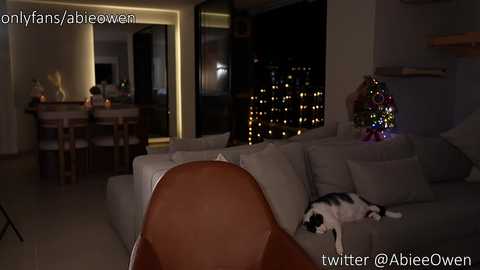 A video of a dimly lit living room with a white sofa and a black-and-white cat sleeping on it. A small Christmas tree with twinkling lights is visible in the background. OnlyFans watermark @AbbieOwen is displayed.