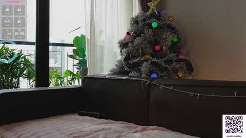 Media: Video of a cozy, modern living room with a small Christmas tree adorned with colorful lights and ornaments, set against a black cushioned bench and large window with sheer white curtains, showing a glimpse of greenery outside.