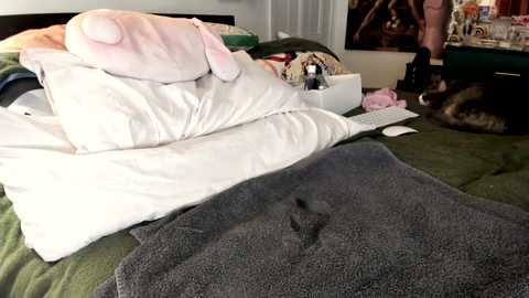 eve003300 free recording from 2025-12-13 00:30:00