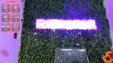 hotfallingdevil free recording from 2025-12-13 00:30:00