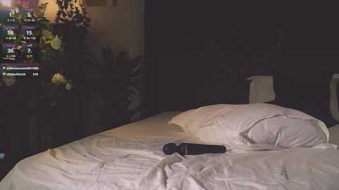 inkanuko free recording from 2025-12-13 00:01:00