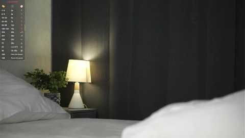Media: Video of a modern bedroom with a white bed, dark curtains, a white lampshade on a nightstand, and a small potted plant.