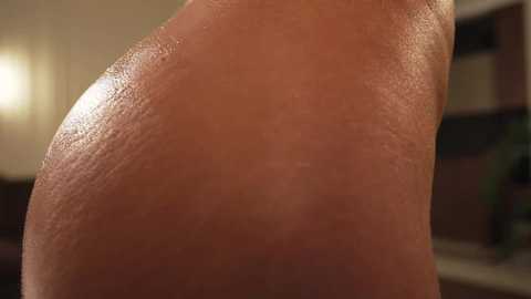 sunshine_______ free recording from 