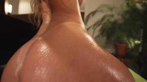 sunshine_______ free recording from 